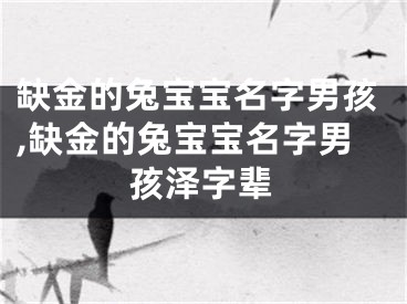 缺金的兔宝宝名字男孩,缺金的兔宝宝名字男孩泽字辈