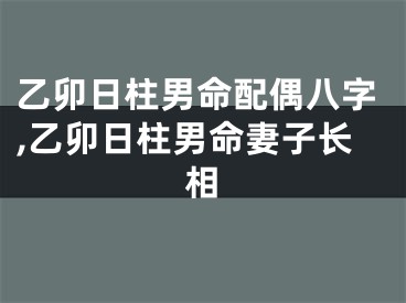 乙卯日柱男命配偶八字,乙卯日柱男命妻子长相