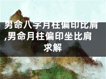男命八字月柱偏印比肩,男命月柱偏印坐比肩求解