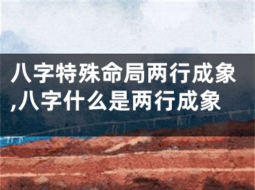 八字特殊命局两行成象,八字什么是两行成象