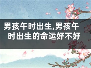 男孩午时出生,男孩午时出生的命运好不好