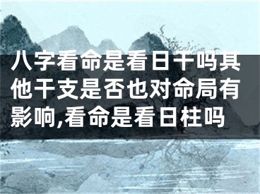 八字看命是看日干吗其他干支是否也对命局有影响,看命是看日柱吗