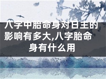 八字中胎命身对日主的影响有多大,八字胎命身有什么用