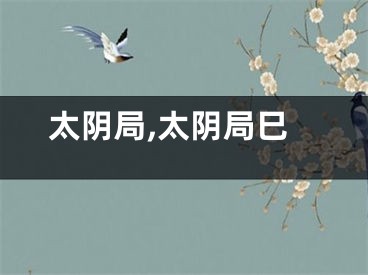 太阴局,太阴局巳