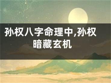 孙权八字命理中,孙权 暗藏玄机
