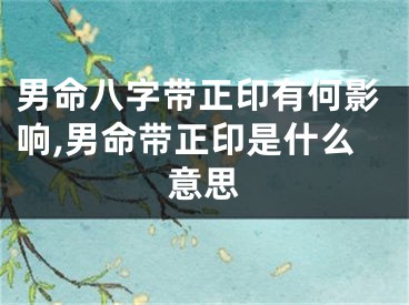 男命八字带正印有何影响,男命带正印是什么意思