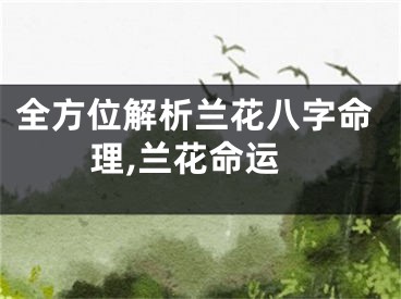 全方位解析兰花八字命理,兰花命运