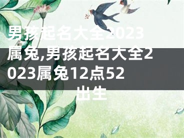 男孩起名大全2023属兔,男孩起名大全2023属兔12点52出生