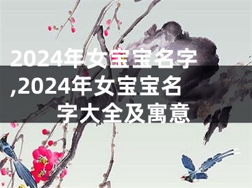 2024年女宝宝名字,2024年女宝宝名字大全及寓意