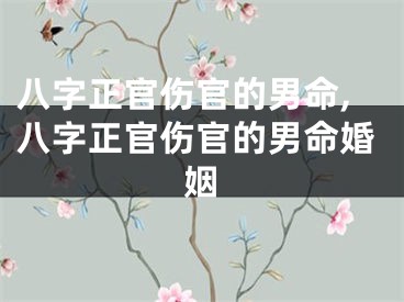 八字正官伤官的男命,八字正官伤官的男命婚姻