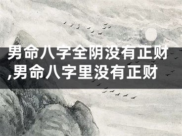 男命八字全阴没有正财,男命八字里没有正财