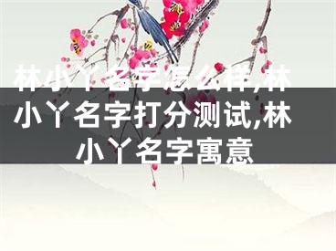 林小丫名字怎么样,林小丫名字打分测试,林小丫名字寓意