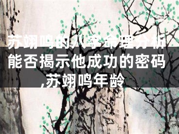 苏翊鸣的八字命理分析能否揭示他成功的密码,苏翊鸣年龄