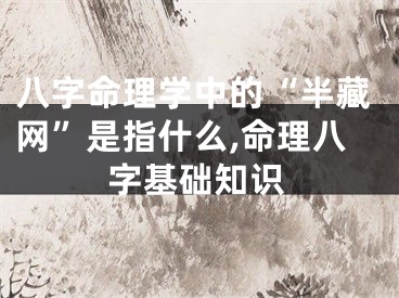 八字命理学中的“半藏网”是指什么,命理八字基础知识
