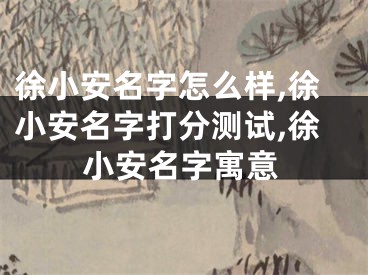 徐小安名字怎么样,徐小安名字打分测试,徐小安名字寓意