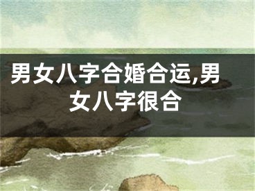 男女八字合婚合运,男女八字很合