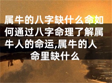 属牛的八字缺什么命如何通过八字命理了解属牛人的命运,属牛的人命里缺什么