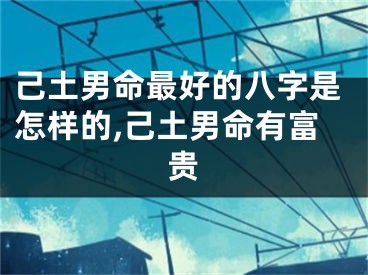 己土男命最好的八字是怎样的,己土男命有富贵