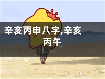 辛亥丙申八字,辛亥 丙午