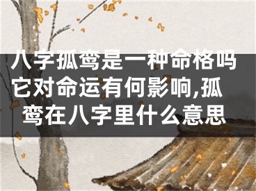 八字孤鸾是一种命格吗它对命运有何影响,孤鸾在八字里什么意思