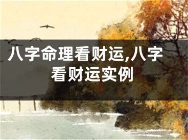 八字命理看财运,八字看财运实例