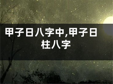 甲子日八字中,甲子日柱八字