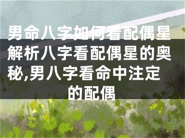 男命八字如何看配偶星解析八字看配偶星的奥秘,男八字看命中注定的配偶