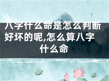 八字什么命是怎么判断好坏的呢,怎么算八字什么命