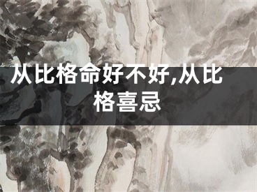 从比格命好不好,从比格喜忌