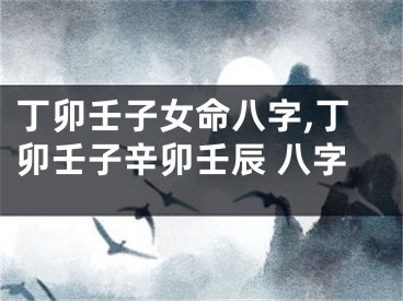 丁卯壬子女命八字,丁卯壬子辛卯壬辰 八字