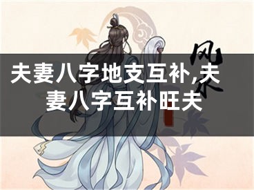 夫妻八字地支互补,夫妻八字互补旺夫