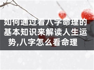 如何通过看八字命理的基本知识来解读人生运势,八字怎么看命理