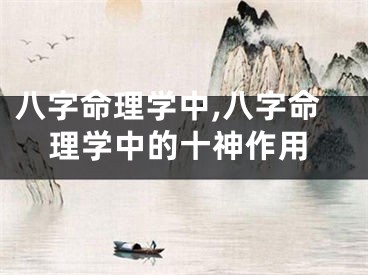 八字命理学中,八字命理学中的十神作用
