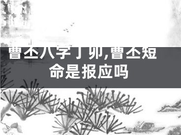 曹丕八字丁卯,曹丕短命是报应吗