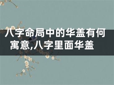 八字命局中的华盖有何寓意,八字里面华盖