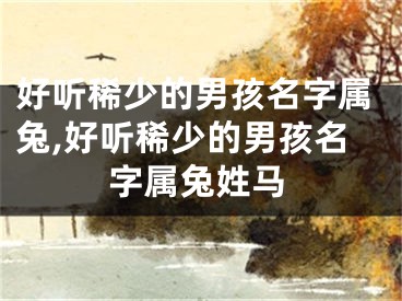 好听稀少的男孩名字属兔,好听稀少的男孩名字属兔姓马