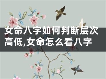 女命八字如何判断层次高低,女命怎么看八字