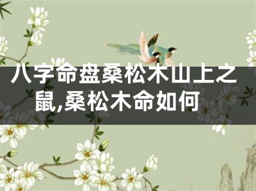 八字命盘桑松木山上之鼠,桑松木命如何