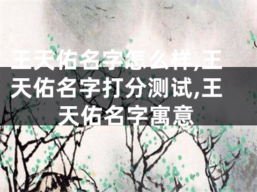 王天佑名字怎么样,王天佑名字打分测试,王天佑名字寓意