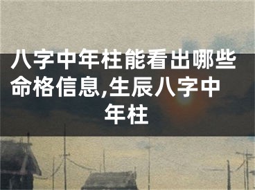 八字中年柱能看出哪些命格信息,生辰八字中年柱