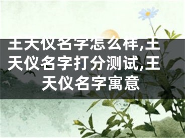 王天仪名字怎么样,王天仪名字打分测试,王天仪名字寓意