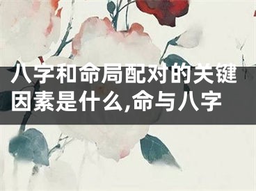 八字和命局配对的关键因素是什么,命与八字
