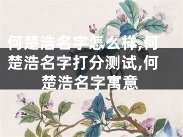 何楚浩名字怎么样,何楚浩名字打分测试,何楚浩名字寓意
