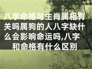 八字命格与生肖属相有关吗属狗的人八字缺什么会影响命运吗,八字和命格有什么区别