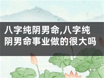 八字纯阴男命,八字纯阴男命事业做的很大吗