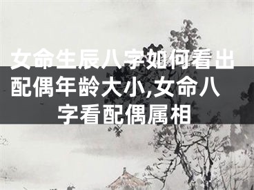 女命生辰八字如何看出配偶年龄大小,女命八字看配偶属相