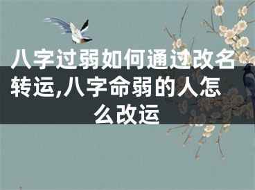 八字过弱如何通过改名转运,八字命弱的人怎么改运
