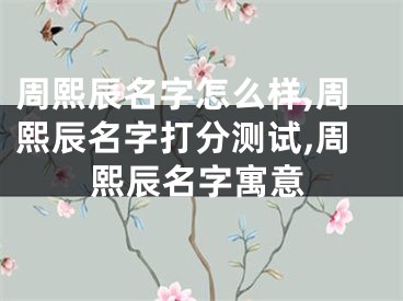周熙辰名字怎么样,周熙辰名字打分测试,周熙辰名字寓意