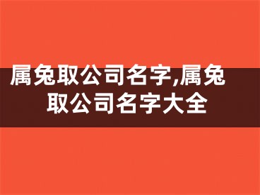 属兔取公司名字,属兔取公司名字大全