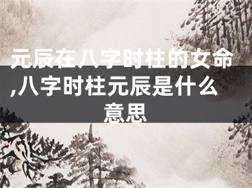 元辰在八字时柱的女命,八字时柱元辰是什么意思